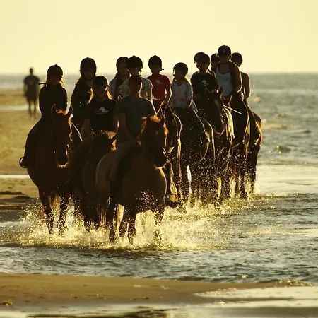 - Nowe, Komfortowe, Caloroczne Nad Morzem 