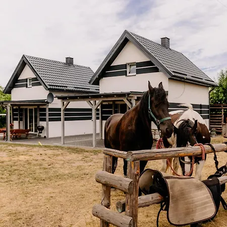 - Nowe, Komfortowe, Caloroczne Nad Morzem 