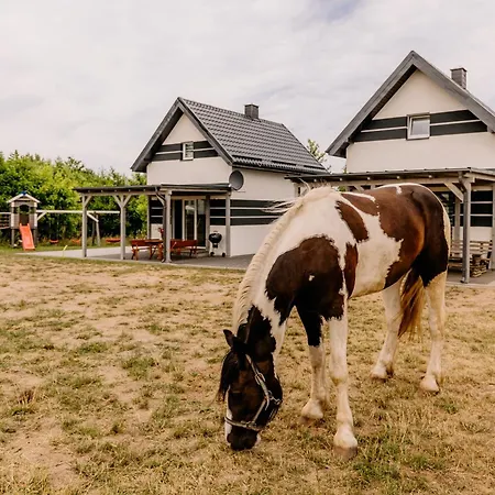 Vakantiehuis - Nowe, Komfortowe, Caloroczne Nad Morzem 