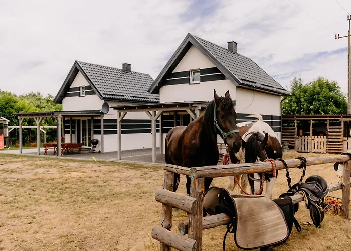 - Nowe, Komfortowe, Caloroczne Nad Morzem 